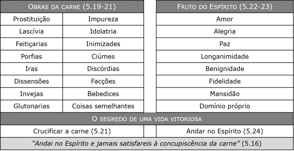 Imagem26